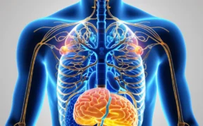 Alcohol Effects on the Body What Canadians Should Know - Canadian health information