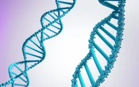 AntidsDNA Antibody Test What You Need to Know - Canadian health information