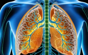 Body Detox 6 Natural Ways to Remove Toxins - Canadian health information