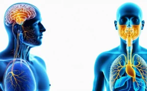 Hangover Symptoms Causes 038 When to See a Doctor - Canadian health information