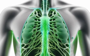 Lymphatic Detox How to Support Your Lymphatic System - Canadian health information