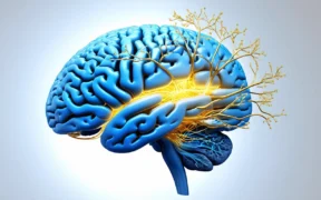 Neuroplasticity How Your Brain Heals and Adapts - Canadian health information