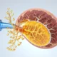 Serum Albumin Test What You Need to Know - Canadian health information